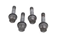 Tornillos rueda trasera kit pernos llanta BMW R 1100 GS Enduro/Reiseenduro 93-99