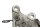 Soporte pinza de freno trasero anclaje placa Kawasaki ZR 7S ZR750F H 01-04