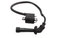 Tändspole bakre cylinder tändstiftshatt tändkabel Suzuki SV 1000 S WVBX 03-07