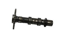 Arbre à cames échappement arrière pignon moteur Suzuki SV 650 S WVBY 03-06