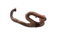 Collecteur déchappement tube descente avant KTM Super Moto 950 LC8 SM950 05-08