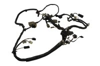 Faisceau électrique principal câblage connecteurs Kawasaki ZR 7S ZR750F H 01-04