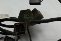 Faisceau électrique principal câblage connecteurs Kawasaki ZR 7S ZR750F H 01-04