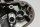 Alternator cover generator stator casing left Kawasaki ZZR 600 ZX600E1-3 93-95