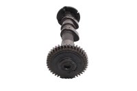 Árbol de levas escape engranaje cilindro trasero Suzuki SV 1000 S WVBX 03-07