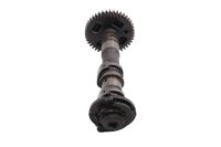 Árbol de levas escape engranaje cilindro trasero Suzuki SV 1000 S WVBX 03-07