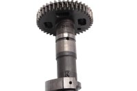 Árbol de levas escape engranaje cilindro trasero Suzuki SV 1000 S WVBX 03-07