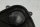 Alternator cover engine front casing belt guard BMW R 1200 S K29 0366 06-08