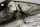 Bensintank bränslebehållare pärlvit BMW K 100 RS 4 Ventiler K589 0523 89-92