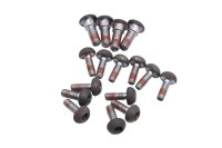 Bromsskivebultar skruvar sats 16 st fram bak Honda CBR 900 RR SC50 02-03