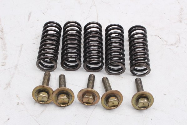 Kopplingsfjädrar sats bultar 5 st tryckplatta Honda CBR 900 RR SC50 02-03