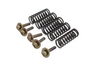Kopplingsfjädrar sats bultar 5 st tryckplatta Honda CBR 900 RR SC50 02-03