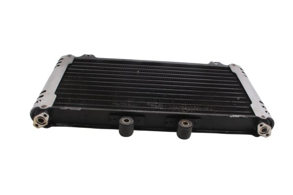 Radiador de aceite enfriador motor tapas laterales Suzuki GSX 1100 G GV74A 91-96
