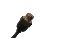 Sensor temperatura culata sonda aceite izquierdo BMW R 1200 S K29 0366 06-08