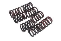 Clutch springs complete set of 8 pieces Moto Guzzi California III VW 87-93