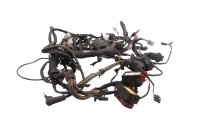 Kabelboom zekeringkast relais bedrading Aprilia SMV 750 Dorsoduro M551M 08-17