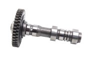 Árbol de levas admisión cilindro delantero Aprilia SMV 750 Dorsoduro M551M 08-17