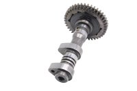 Árbol de levas admisión cilindro delantero Aprilia SMV 750 Dorsoduro M551M 08-17
