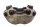 Pinza freno delantera izquierda 4 pistones Aprilia SMV 750 Dorsoduro M551M 08-17
