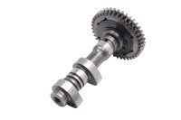 Árbol de levas escape trasero engranaje Aprilia SMV 750 Dorsoduro M551M 08-17