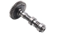 Árbol de levas escape trasero engranaje Aprilia SMV 750 Dorsoduro M551M 08-17