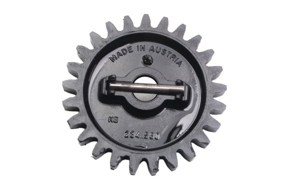 Ölpumpenzahnrad Antriebsrad Mitnehmerstift Motor BMW F 650 GS R13 0175 04-08