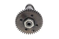 Árbol de levas escape delantero piñón Aprilia SMV 750 Dorsoduro M551M 08-17