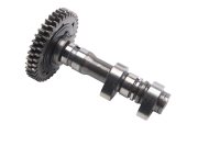 Árbol de levas escape delantero piñón Aprilia SMV 750 Dorsoduro M551M 08-17