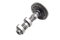 Árbol de levas escape delantero piñón Aprilia SMV 750 Dorsoduro M551M 08-17