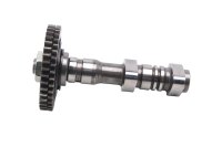 Árbol de levas admisión culata trasera Aprilia SMV 750 Dorsoduro M551M 08-17