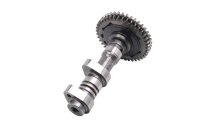 Árbol de levas admisión culata trasera Aprilia SMV 750 Dorsoduro M551M 08-17