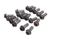 Tornillos disco de freno delantero trasero Aprilia SMV 750 Dorsoduro M551M 08-17
