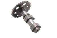 Intake camshaft inlet with timing sprocket gear BMW F 650...