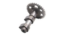 Intake camshaft inlet with timing sprocket gear BMW F 650 GS R13 0175 04-08