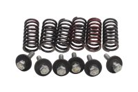 Clutch springs set with bolts and washers 6 pieces BMW F...