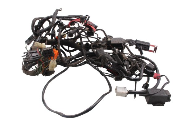 Wiring harness main loom fuse box relay ECU plug BMW F 650 GS R13 0175 04-08