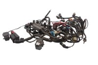 Wiring harness main loom fuse box relay ECU plug BMW F...