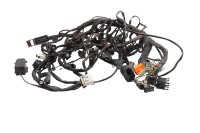 Wiring harness main loom fuse box relay ECU plug BMW F 650 GS R13 0175 04-08