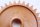 Oil pump drive gear wheel cog engine Rotax 235272 BMW F 650 GS R13 0175 04-08