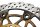 Jarrulevyt pari etu vasen oikea ABS-anturirengas Kawasaki ER-6N ER650A 05-08