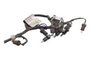 Instrument cluster wiring harness speedometer bulbs BMW F...