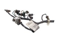 Instrument cluster wiring harness speedometer bulbs BMW F 650 GS R13 0175 04-08