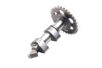 Exhaust camshaft cam shaft decompression sprocket BMW F 650 GS R13 0175 04-08