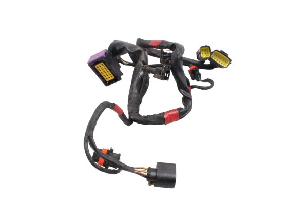 Mazo de cables inyección instalación motor Aprilia SMV 750 Dorsoduro M551M 08-17