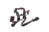 Mazo de cables inyección instalación motor Aprilia SMV 750 Dorsoduro M551M 08-17