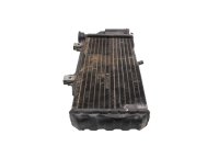Wasserkühler Radiator Motorkühlung Kühlerblock vorne BMW F 650 GS R13 0175 04-08
