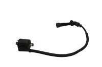 Bobina accensione pipetta cavo cilindro anteriore Suzuki SV 650 S WVBY 03-06
