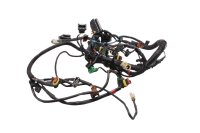 Faisceau électrique moteur câblage injection...