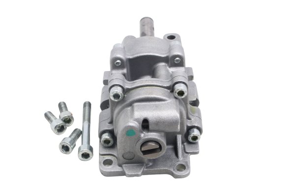 Pompe à huile avec vis lubrification moteur graissage Aprilia RSV4 RK 09-12