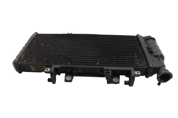 Wasserkühler Radiator Motorkühlung Kühlkörper BMW F 800 GS E8GS 0219 08-12